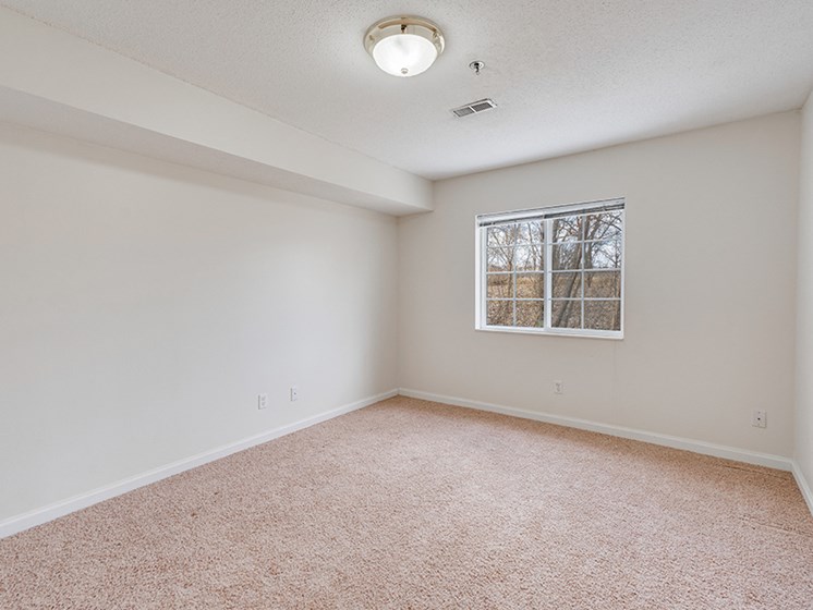 empty bedroom with carpets and a window